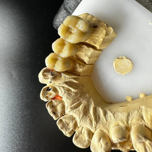 photo_2024-05-01_19-23-44